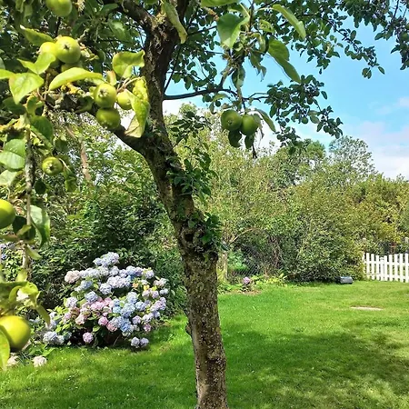 Süderende- Hus Lillesol Ferienhaus *