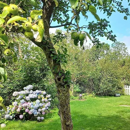 Süderende- Hus Lillesol * Süderende